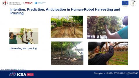 Intention, Prediction, Anticipation in Human-Robot Interaction & Collaboration. Alberto Sanfeliu. IRI-UPC