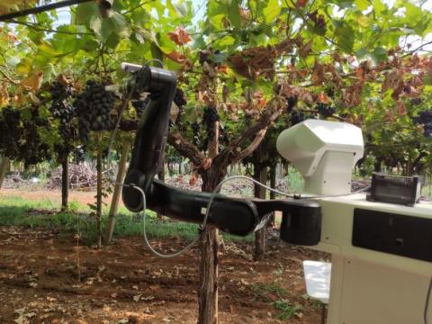 CANOPIES Robot. July 2022